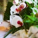 Wedding photography of orchid wedding flowers at Bovey Castle wedding