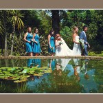 Dorset wedding bridal party