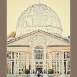 Bride and groom walking into Great Conservatory at Syon Park wedding in London
