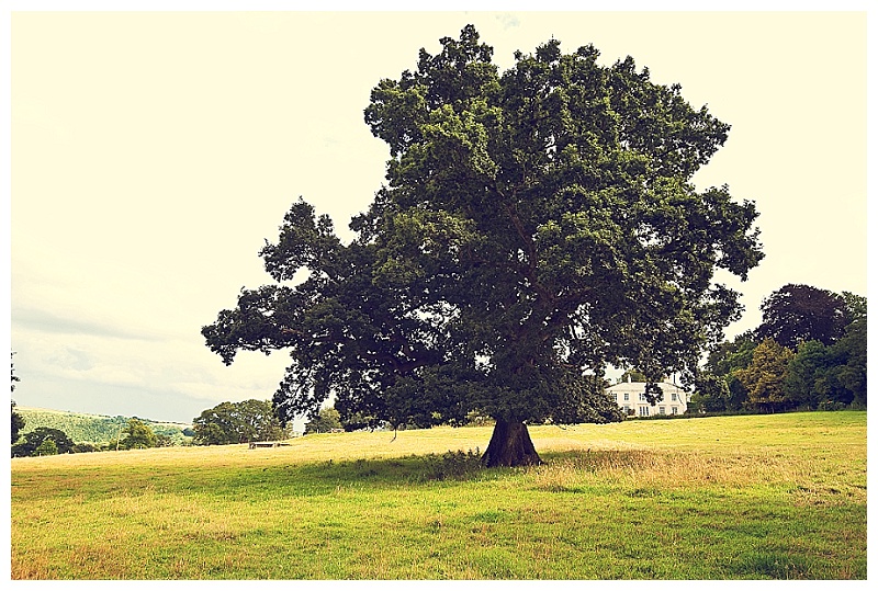 Devon wedding photographer_0080