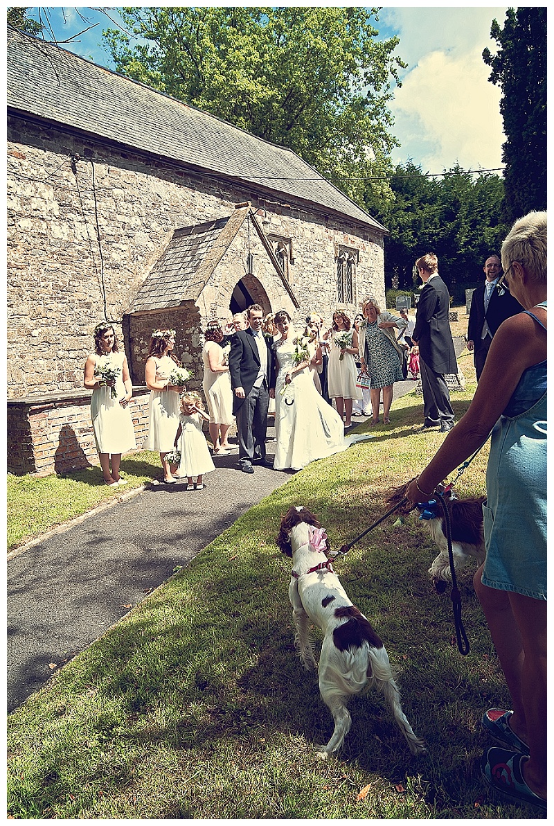 Devon wedding photographer_0161