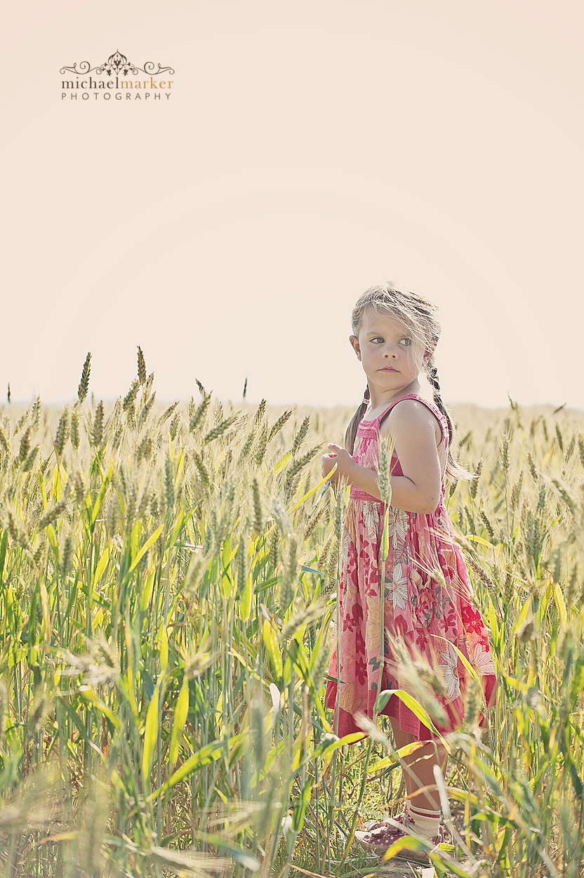 Devon portrait photographers child in cornfield