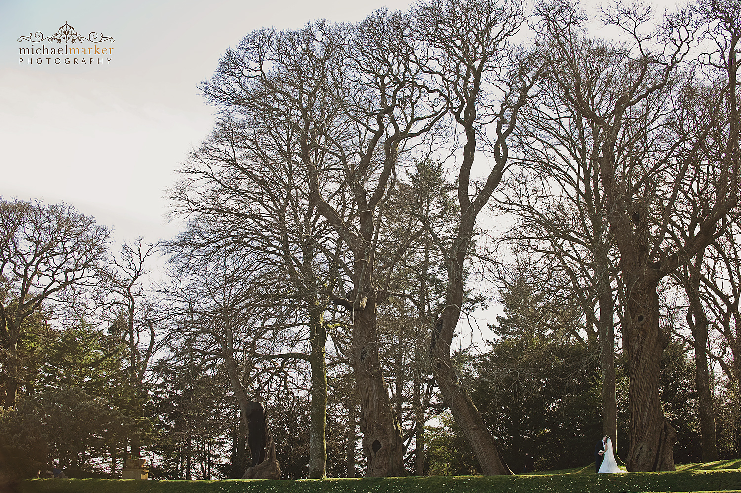 Dartington-Garden-wedding