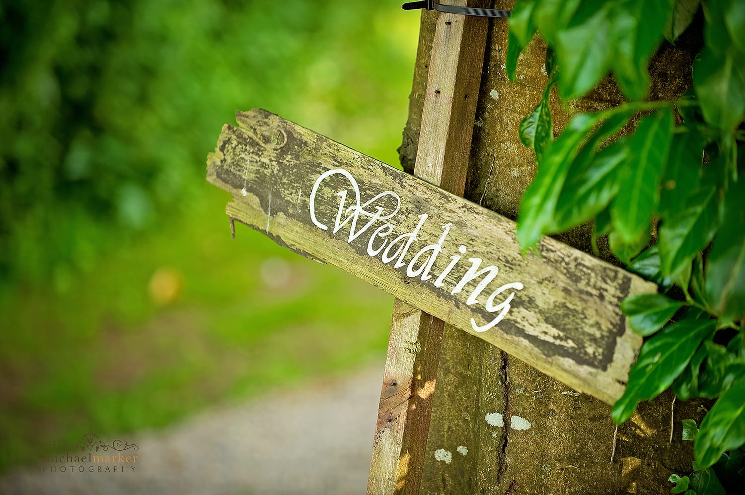 rustic wood and painted wedding sign